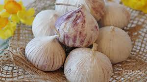 فروش موسیر کوهی + قیمت خرید به صرفه